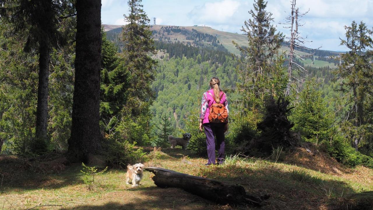 C2 Albmatte-Fewo , Hallenbad Aussenbecken Massagen Nebenan St. Blasien Zewnętrze zdjęcie