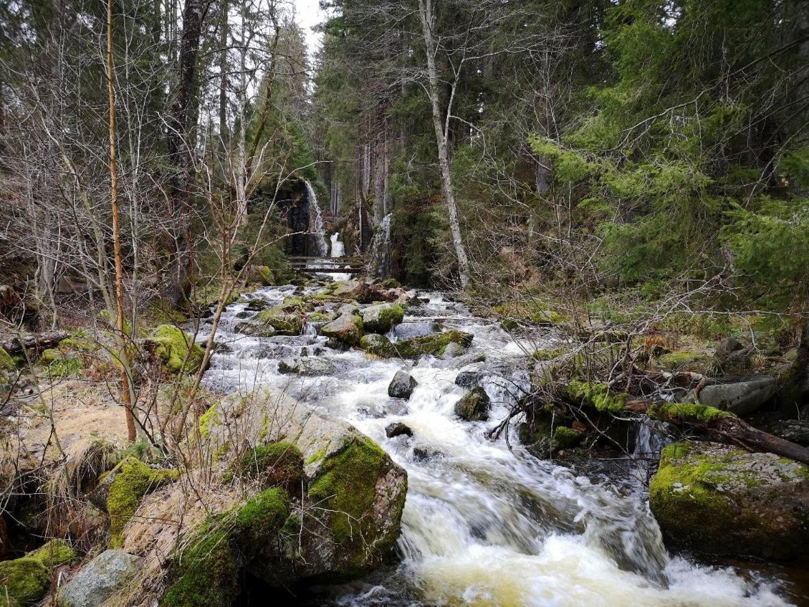 C2 Albmatte-Fewo , Hallenbad Aussenbecken Massagen Nebenan St. Blasien Zewnętrze zdjęcie