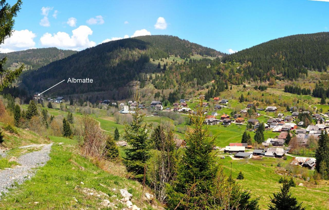 C2 Albmatte-Fewo , Hallenbad Aussenbecken Massagen Nebenan St. Blasien Zewnętrze zdjęcie