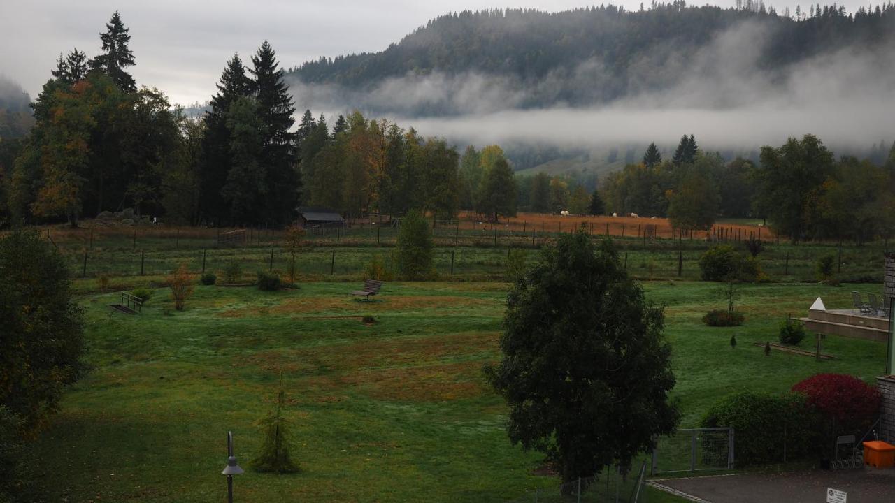C2 Albmatte-Fewo , Hallenbad Aussenbecken Massagen Nebenan St. Blasien Zewnętrze zdjęcie