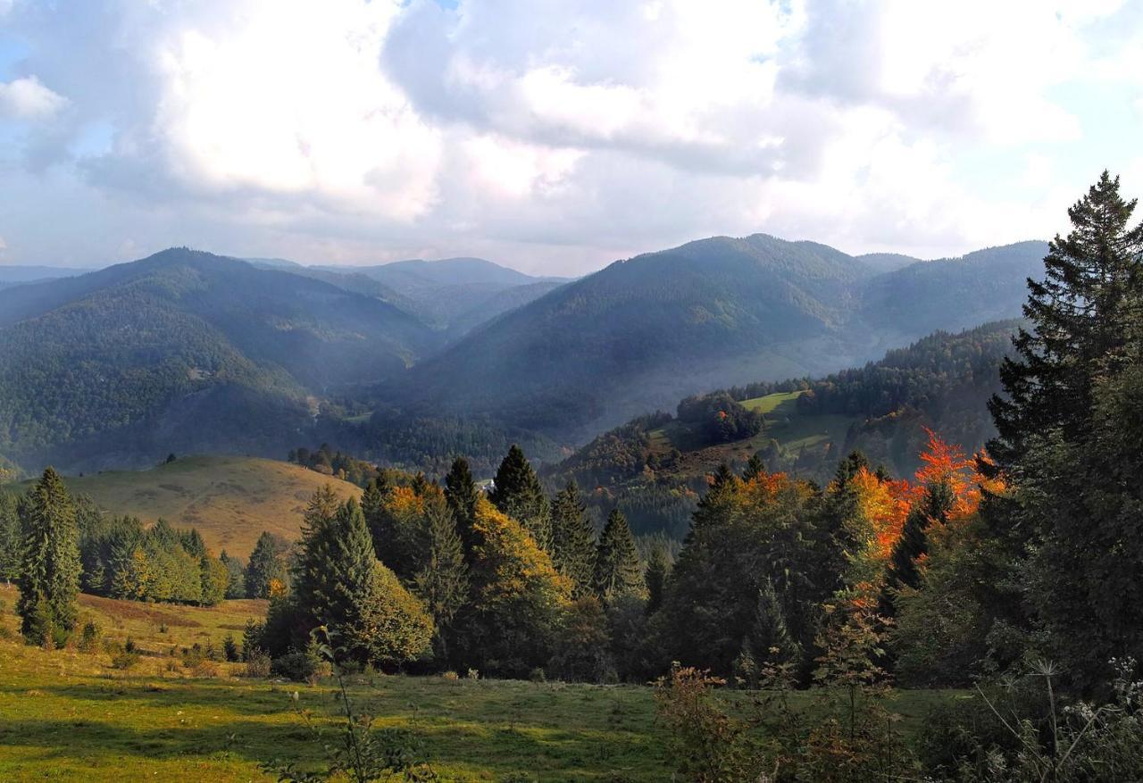 C2 Albmatte-Fewo , Hallenbad Aussenbecken Massagen Nebenan St. Blasien Zewnętrze zdjęcie