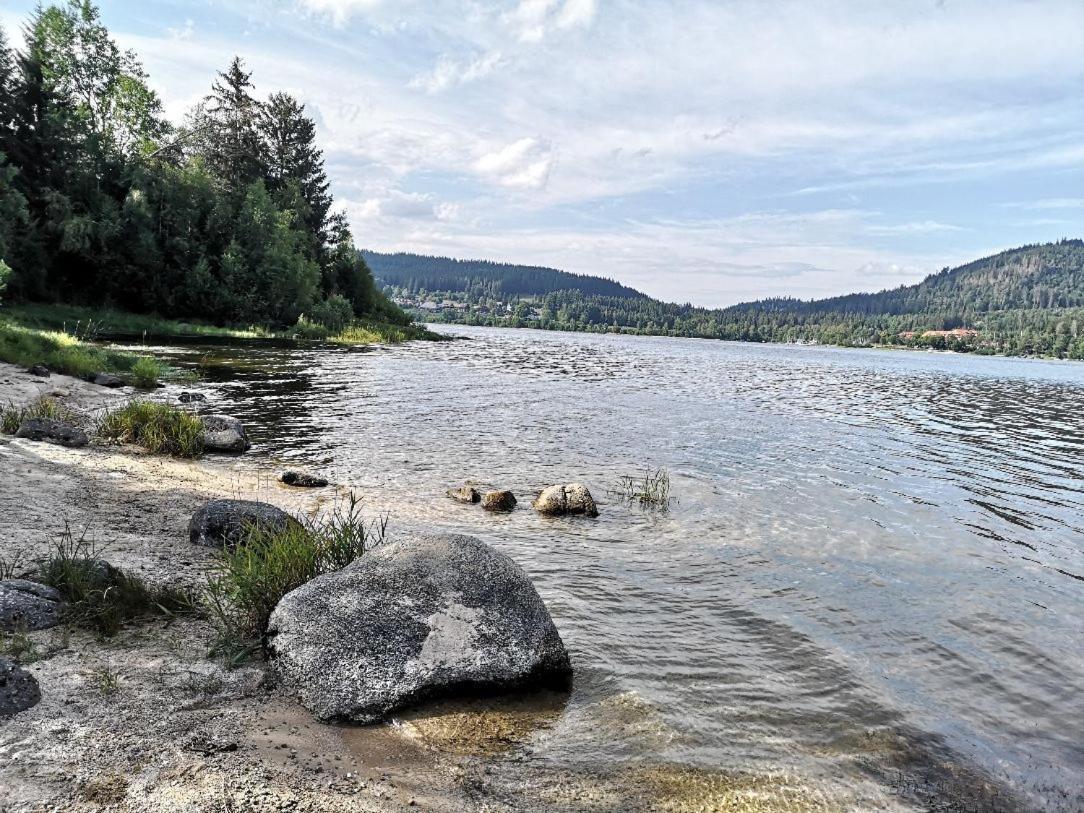 C2 Albmatte-Fewo , Hallenbad Aussenbecken Massagen Nebenan St. Blasien Zewnętrze zdjęcie