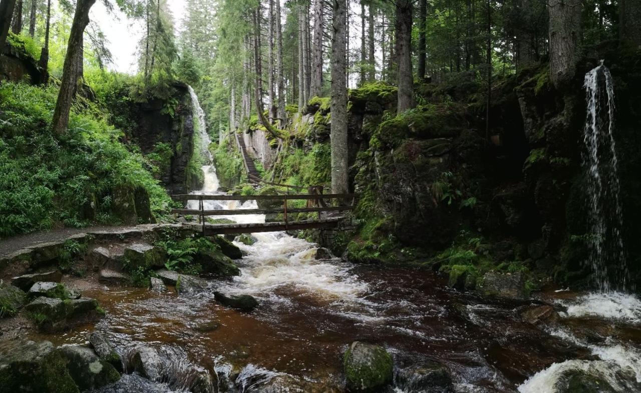 C2 Albmatte-Fewo , Hallenbad Aussenbecken Massagen Nebenan St. Blasien Zewnętrze zdjęcie