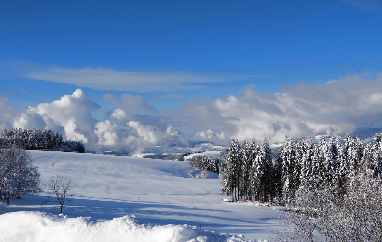C2 Albmatte-Fewo , Hallenbad Aussenbecken Massagen Nebenan St. Blasien Zewnętrze zdjęcie