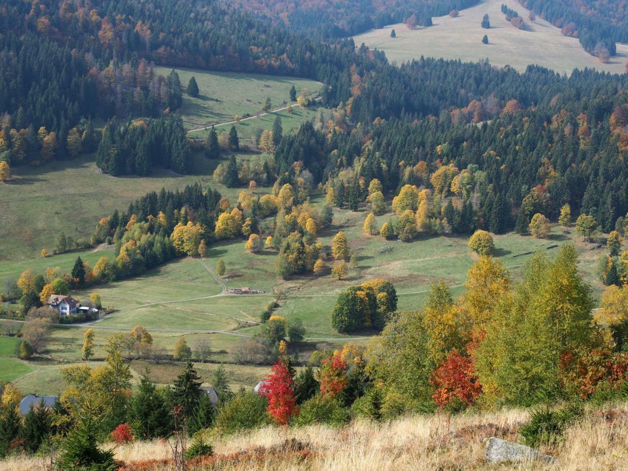 C2 Albmatte-Fewo , Hallenbad Aussenbecken Massagen Nebenan St. Blasien Zewnętrze zdjęcie