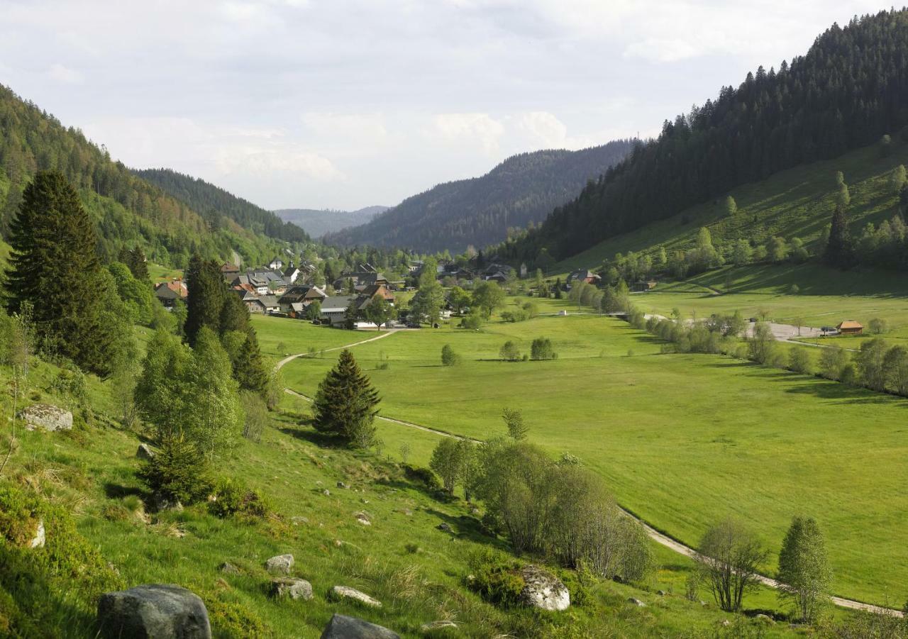 C2 Albmatte-Fewo , Hallenbad Aussenbecken Massagen Nebenan St. Blasien Zewnętrze zdjęcie