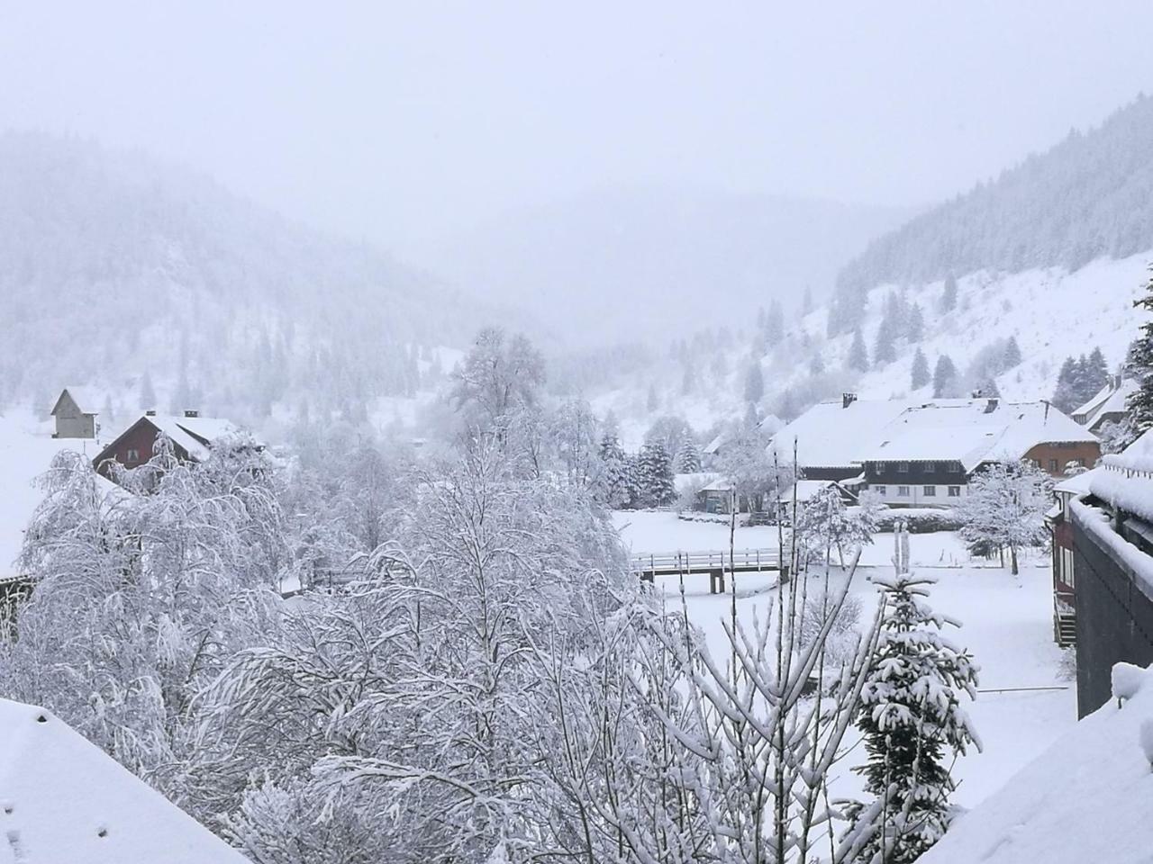C2 Albmatte-Fewo , Hallenbad Aussenbecken Massagen Nebenan St. Blasien Zewnętrze zdjęcie