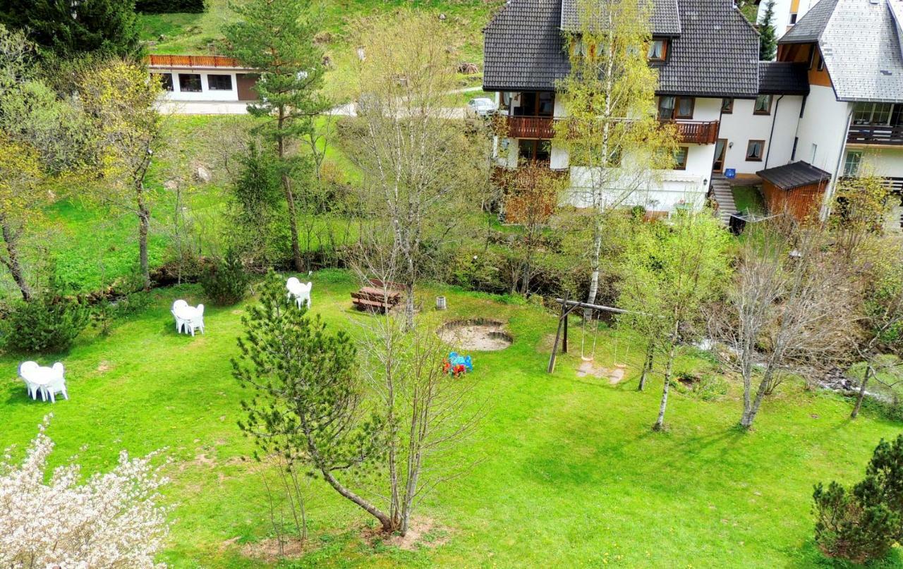 C2 Albmatte-Fewo , Hallenbad Aussenbecken Massagen Nebenan St. Blasien Zewnętrze zdjęcie