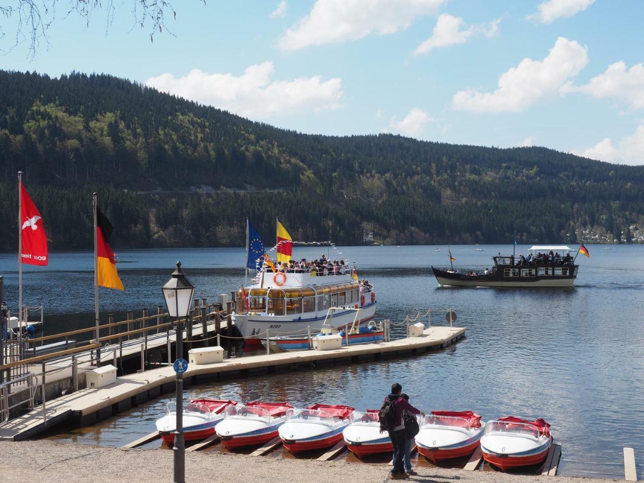 C2 Albmatte-Fewo , Hallenbad Aussenbecken Massagen Nebenan St. Blasien Zewnętrze zdjęcie