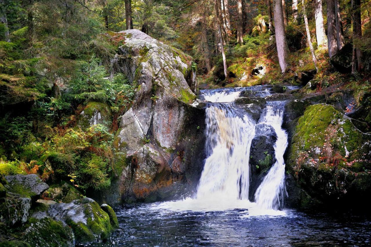 C2 Albmatte-Fewo , Hallenbad Aussenbecken Massagen Nebenan St. Blasien Zewnętrze zdjęcie