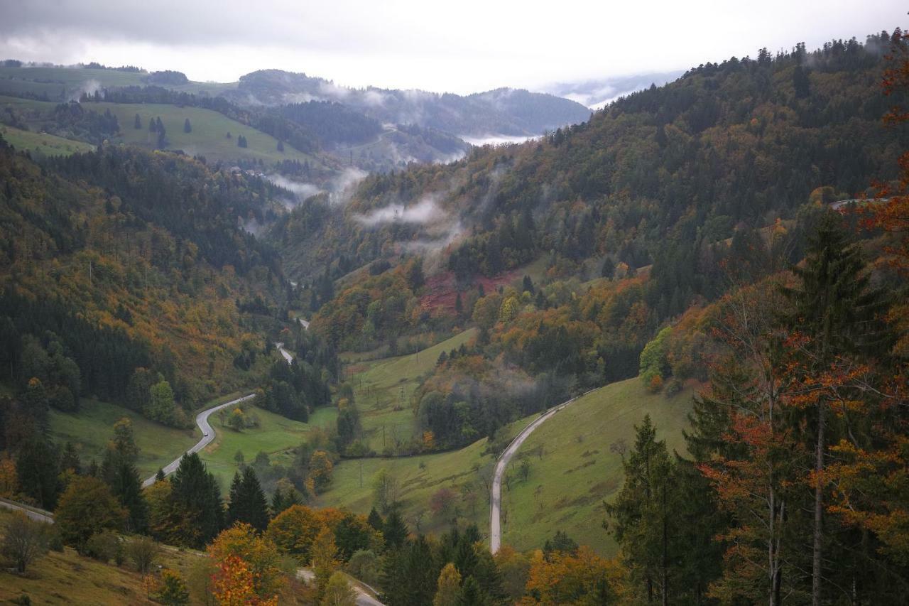 C2 Albmatte-Fewo , Hallenbad Aussenbecken Massagen Nebenan St. Blasien Zewnętrze zdjęcie